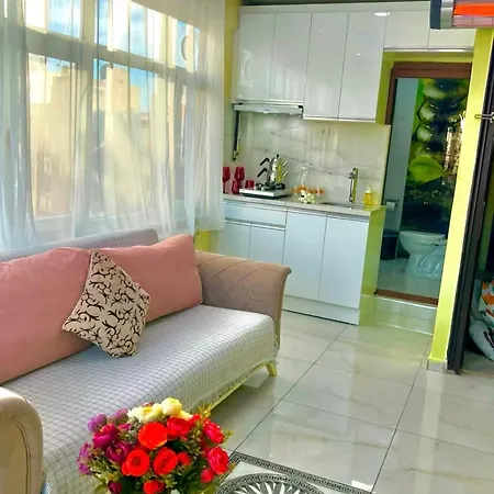 Appartement Istanbulun Kral Dairesi Asansoerlue Ve 2 Klimali