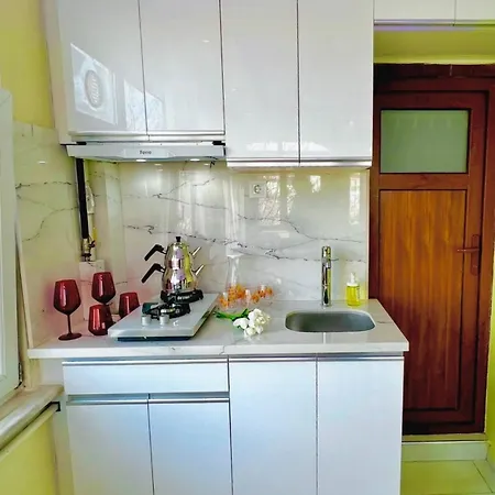Appartement Istanbulun Kral Dairesi Asansoerlue Ve 2 Klimali *