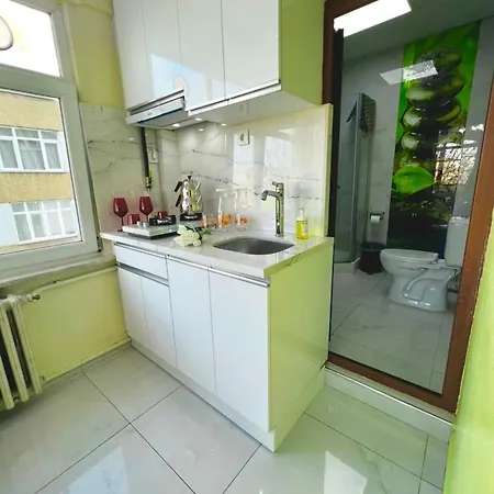 Appartement Istanbulun Kral Dairesi Asansoerlue Ve 2 Klimali *